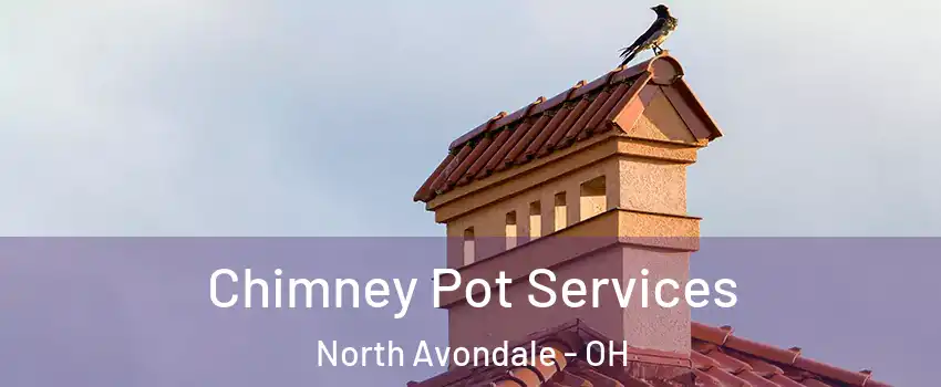 Chimney Pot Services North Avondale - OH