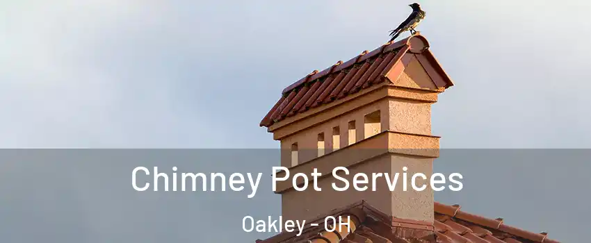 Chimney Pot Services Oakley - OH