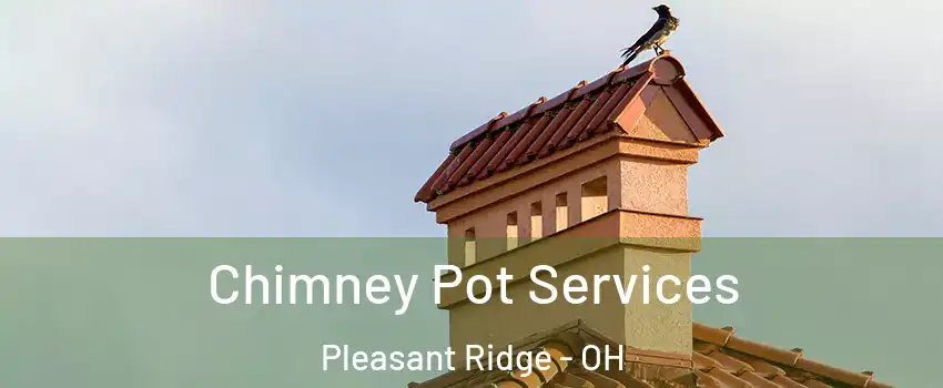 Chimney Pot Services Pleasant Ridge - OH