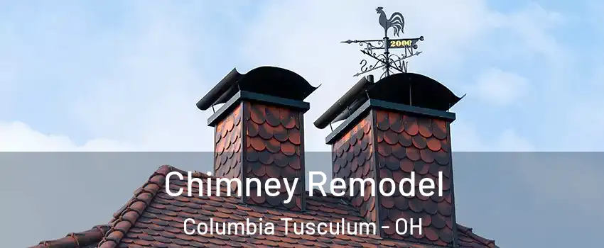 Chimney Remodel Columbia Tusculum - OH