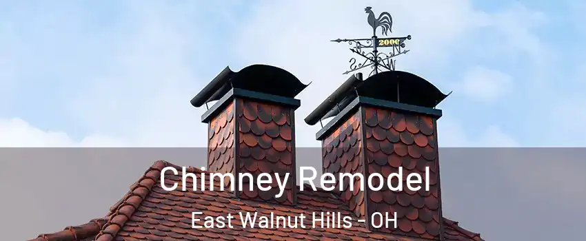 Chimney Remodel East Walnut Hills - OH