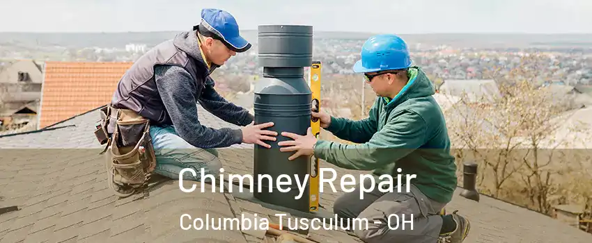 Chimney Repair Columbia Tusculum - OH