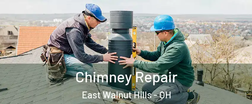 Chimney Repair East Walnut Hills - OH