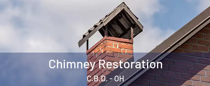 Chimney Restoration C.B.D. - OH