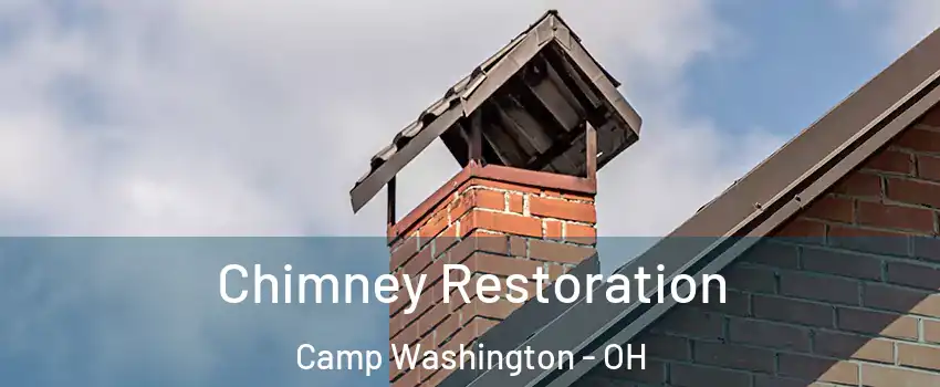 Chimney Restoration Camp Washington - OH