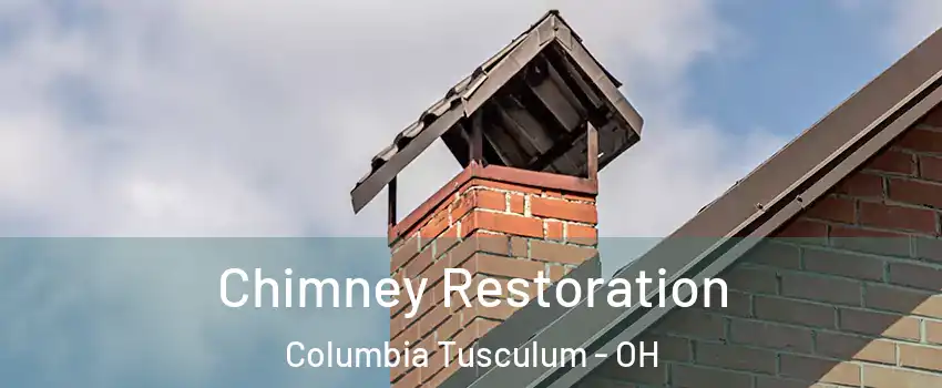 Chimney Restoration Columbia Tusculum - OH