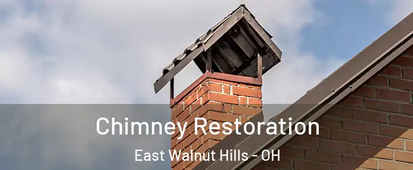 Chimney Restoration East Walnut Hills - OH