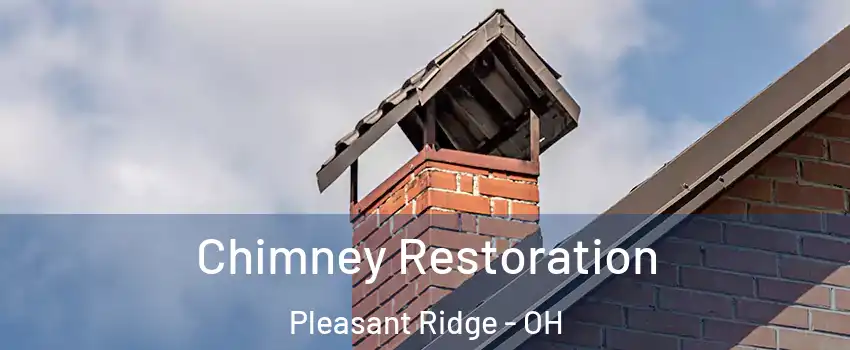 Chimney Restoration Pleasant Ridge - OH