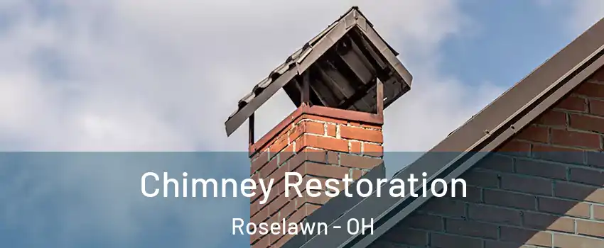 Chimney Restoration Roselawn - OH