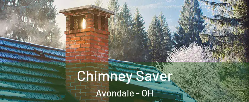 Chimney Saver Avondale - OH