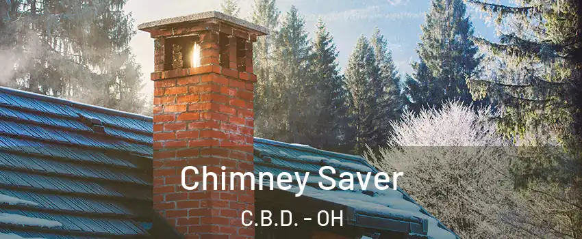 Chimney Saver C.B.D. - OH