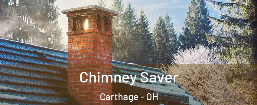 Chimney Saver Carthage - OH