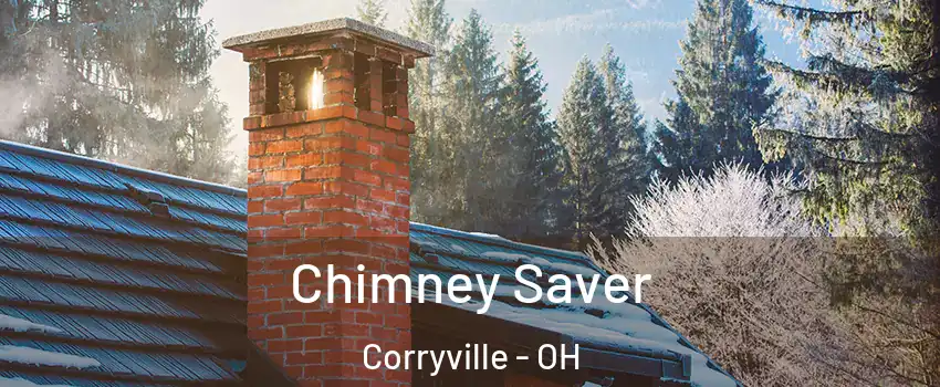 Chimney Saver Corryville - OH