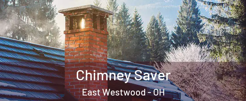 Chimney Saver East Westwood - OH