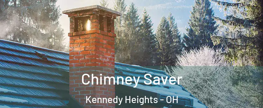 Chimney Saver Kennedy Heights - OH