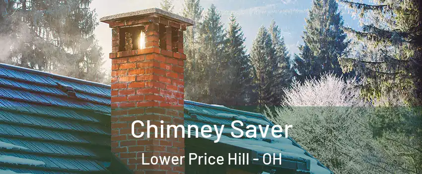 Chimney Saver Lower Price Hill - OH