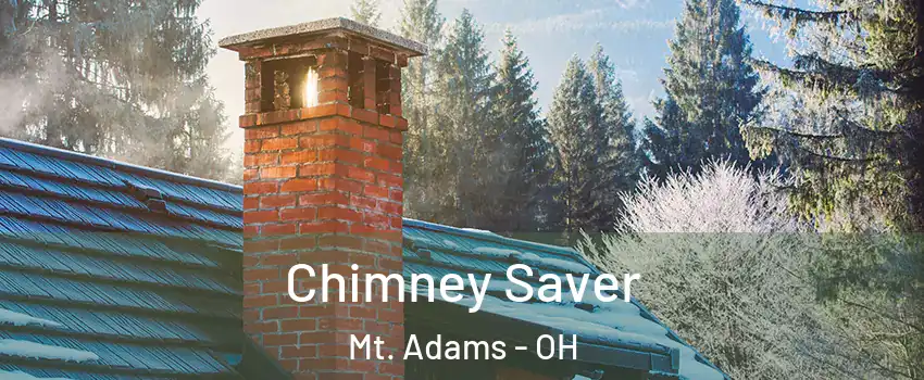 Chimney Saver Mt. Adams - OH