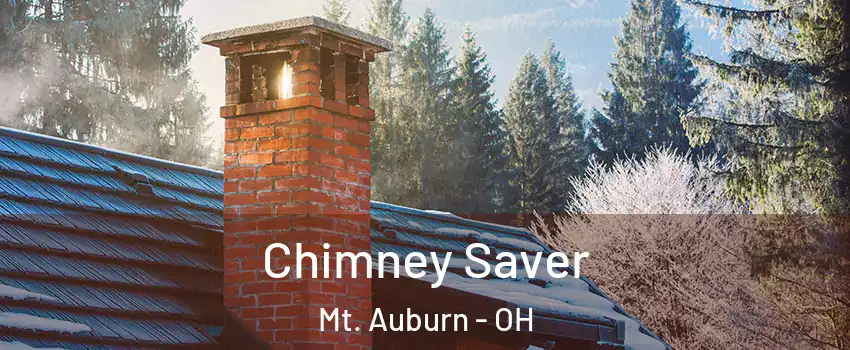 Chimney Saver Mt. Auburn - OH