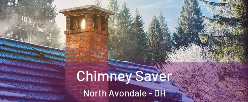 Chimney Saver North Avondale - OH