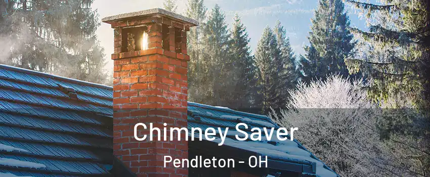 Chimney Saver Pendleton - OH