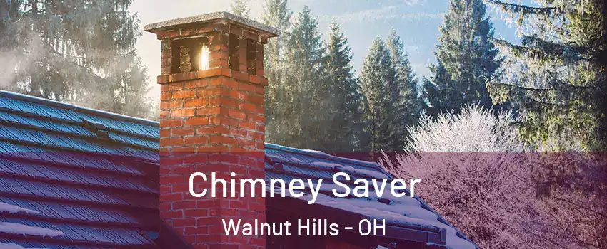 Chimney Saver Walnut Hills - OH