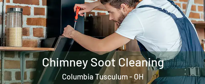 Chimney Soot Cleaning Columbia Tusculum - OH