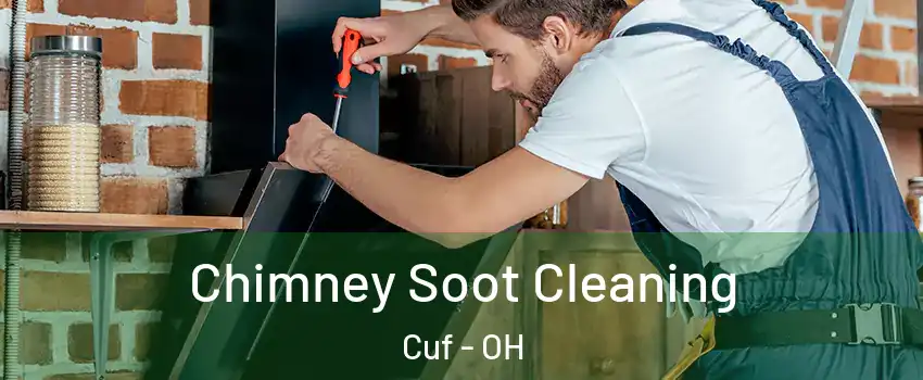 Chimney Soot Cleaning Cuf - OH