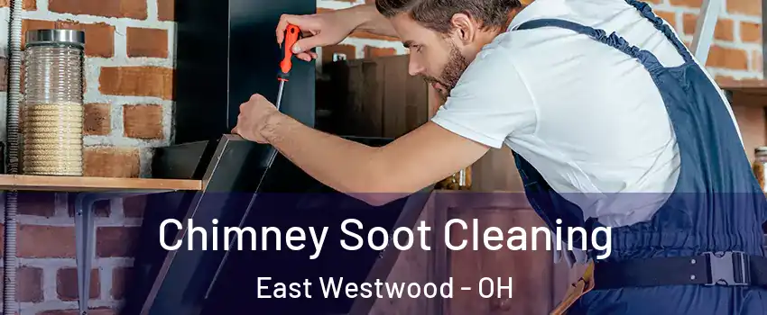 Chimney Soot Cleaning East Westwood - OH