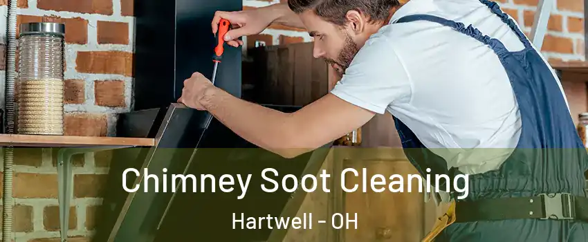 Chimney Soot Cleaning Hartwell - OH