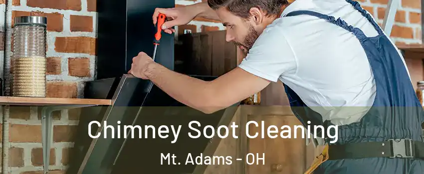 Chimney Soot Cleaning Mt. Adams - OH