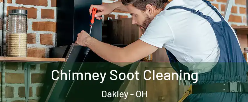 Chimney Soot Cleaning Oakley - OH