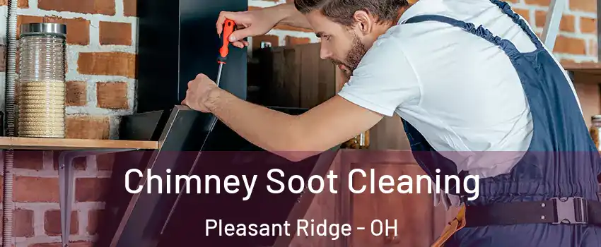 Chimney Soot Cleaning Pleasant Ridge - OH