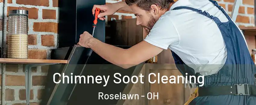 Chimney Soot Cleaning Roselawn - OH