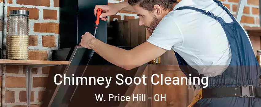 Chimney Soot Cleaning W. Price Hill - OH