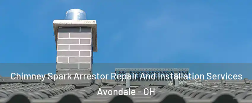 Chimney Spark Arrestor Repair And Installation Services Avondale - OH