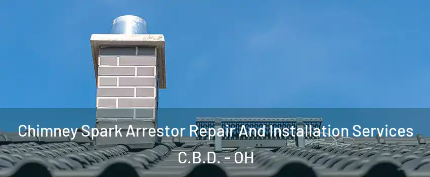 Chimney Spark Arrestor Repair And Installation Services C.B.D. - OH