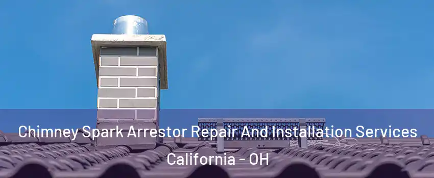 Chimney Spark Arrestor Repair And Installation Services California - OH