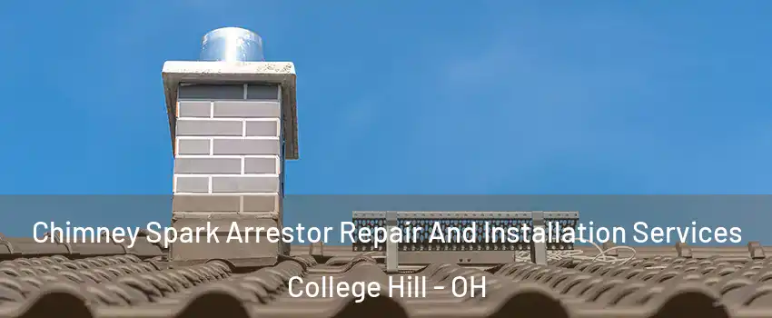 Chimney Spark Arrestor Repair And Installation Services College Hill - OH