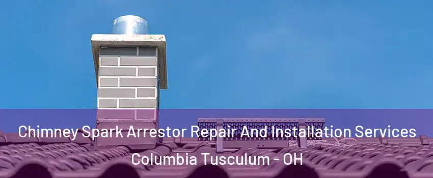 Chimney Spark Arrestor Repair And Installation Services Columbia Tusculum - OH