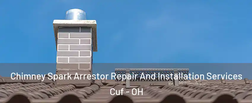 Chimney Spark Arrestor Repair And Installation Services Cuf - OH