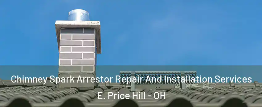 Chimney Spark Arrestor Repair And Installation Services E. Price Hill - OH