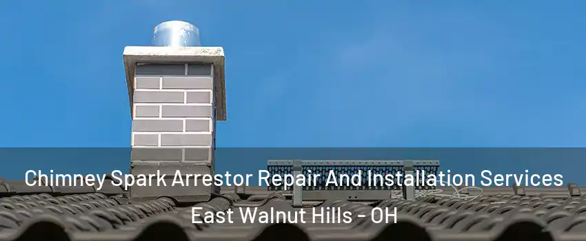 Chimney Spark Arrestor Repair And Installation Services East Walnut Hills - OH