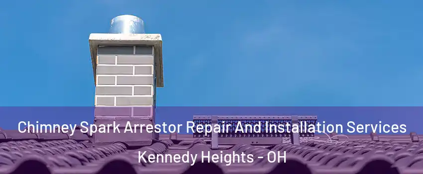 Chimney Spark Arrestor Repair And Installation Services Kennedy Heights - OH