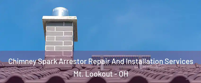 Chimney Spark Arrestor Repair And Installation Services Mt. Lookout - OH