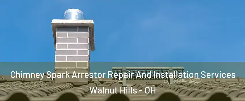 Chimney Spark Arrestor Repair And Installation Services Walnut Hills - OH