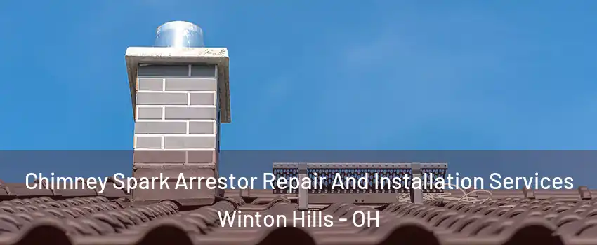 Chimney Spark Arrestor Repair And Installation Services Winton Hills - OH