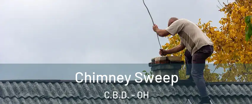 Chimney Sweep C.B.D. - OH