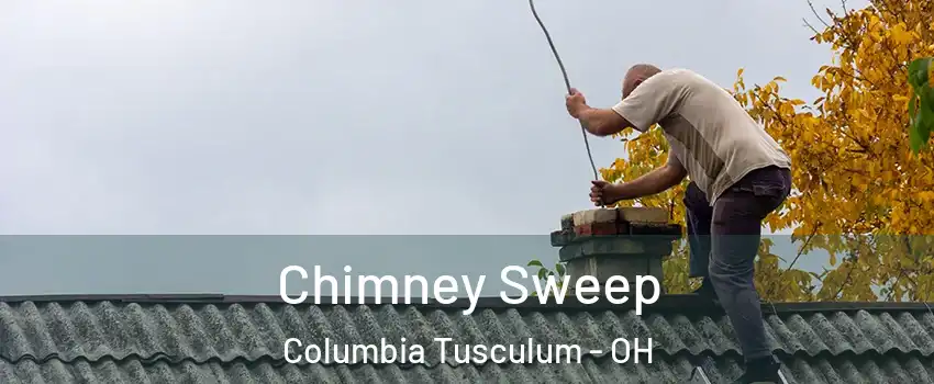 Chimney Sweep Columbia Tusculum - OH