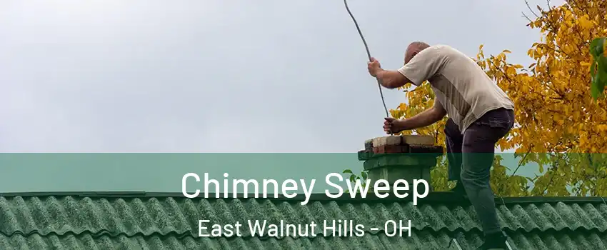 Chimney Sweep East Walnut Hills - OH