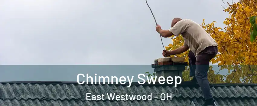 Chimney Sweep East Westwood - OH